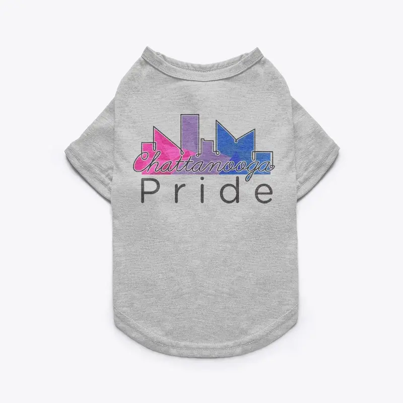 Bisexual Pride Merch 